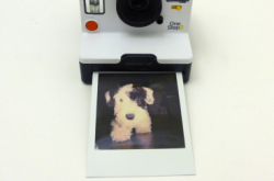 方型相纸专利战Polaroid控告Fujifilm侵权