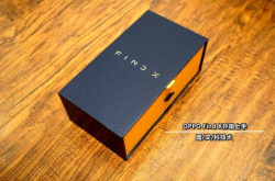 OPPOFindX标准版正式开卖：手慢无