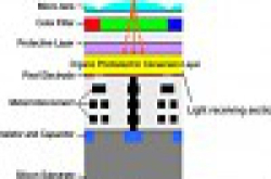 Fujifilm与Panasonic开发高性能“有机CMOS”，唯不可食用