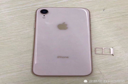 彭博社：三款新iPhone将于21日上市6.1英寸最难抢