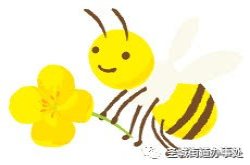 圣城街道最美村庄梨园村—寿光最美家乡