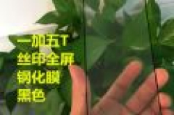 网友曝光一加5T钢化膜(图) 额头上有不少开孔