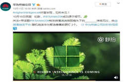 华为Mate20或实现超微距拍照 手机终于走进微距世界