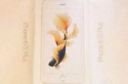 【剧透系列】iPhone6S包装盒多条鱼！？