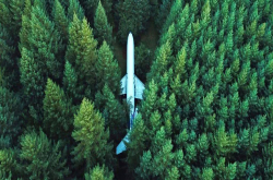 人类是地球统治者？仅占生物总量0.01％的人类 却轻松毁灭85％野生动物