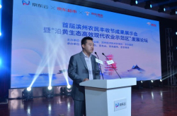 云势力聚焦沿黄现代农业滨州加快乡村振兴步伐