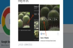摆脱助长盗图嫌疑，Google拿掉图片搜寻的检视图片按键