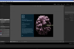 【小编都是受害者】Adobe间接承认Lightroom存在性能问题，呼吁用户提供意见