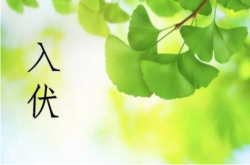 懂家的美好三星品道私厨与你一起歆享鲜果好时光