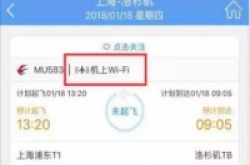 5家航空公司允许乘客用手机但机上Wi-Fi还很少