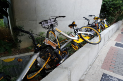 oBike之乱持续扩大新北市出现弃车潮