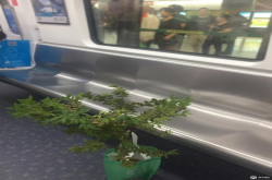 深夜俱乐部丨分享你的假期随拍