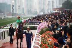 一马当先：大年初三“财来运起”马场摄影比赛结果公布！