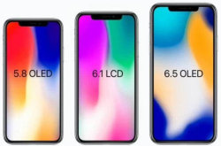 iPhone9或9月12日发布 价格良心 颜值比iPhoneX更耐看