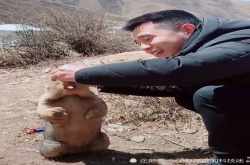 小伙喂食物偷摸土拨鼠的脑袋 它瞬间反应 土拨鼠：我要叫了啊