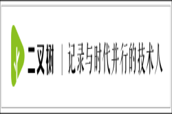 开发者的公益情怀：帮助近亿残障人士 从AI开始丨二叉树视频