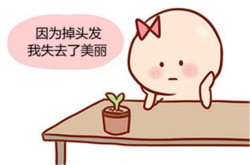 每天只需2分钟 让你和脱发星人说拜拜