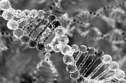研究发现近50个新的乳腺癌癌基因