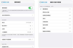 iPhone上有什么比较实用的使用技巧？