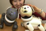 Sony或在明年春季将推出新款智能机器狗