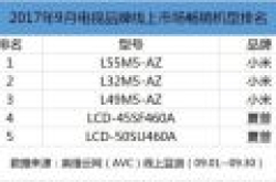 电视品牌线上市场畅销机型排名 小米电视包揽前三甲