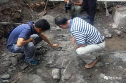 磐安县新渥街道宅口村发现距今一亿年前白垩纪时期恐龙化石