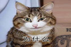 35度高温？酷夏燥热终于有救了