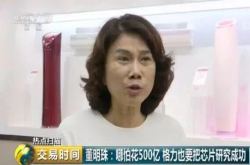 不惜投500亿也要造芯片 董明珠究竟是怎么想的？看完就明白了