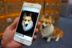 iPhone第2季最热销是它旧款也不容小觑