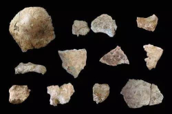 研究员竟然在距今7000年前的古人类遗骨上发现了乙肝病毒