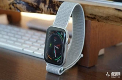 用拆解图告诉你AppleWatch4内部都发生了什么变化