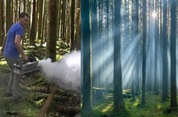 得奖摄影师爆料：迷雾森林原来用了这部机器！