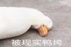 房租暴涨 还让租客吸甲醛？自如蛋壳们究竟在搅什么浑水