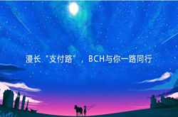 漫长支付路 BCH与你一路同行