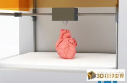 革新医疗保健领域 3D打印或将出奇制胜