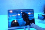 台北电脑展：华硕展示新款ZenScreen Go可移动显示屏