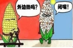 为什么手机使用后总是很烫？什么原因造成的？看完长知识了