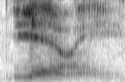 Laurel听起来像Yanny？全美最热话题 语言学家给出最终解释
