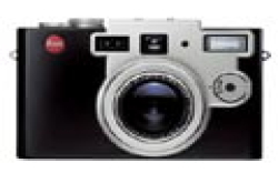 LeicaDigilux1阴天拍摄新体验