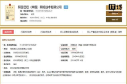 阿里巴巴再度更换法人 戴珊正式出任