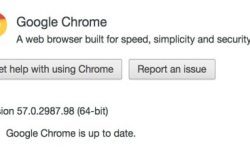 Chrome57更新中国研究员成捉虫最大贡献者