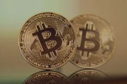 瑞士学者破译比特币：价值为市值1/4 将一路跌到年底？