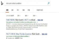 向假新闻说“不”!微软Bing跟进Google也推事实查核标签