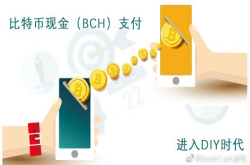 比特币现金BCH支付进入DIY时代