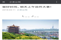 小米明天大事的LJ字母本就很多人热议 MIUI还是嫌事不够大