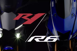 买R1还是R6???用数据说话~一份关于日本车主的调查报告