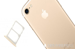 或许iPhone坚持不做双卡双待 是一个非常有远见的做法