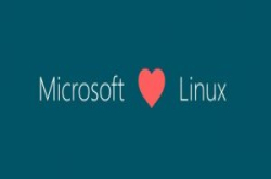 微软也开发自己的Linux，用于资料中心网络交换器系统