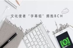 文化使者字幕组拥抱BCH