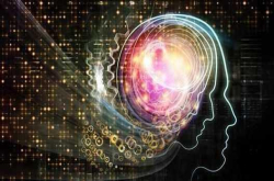 钻开头骨插入电极研究大脑太痛苦 新方法温柔了